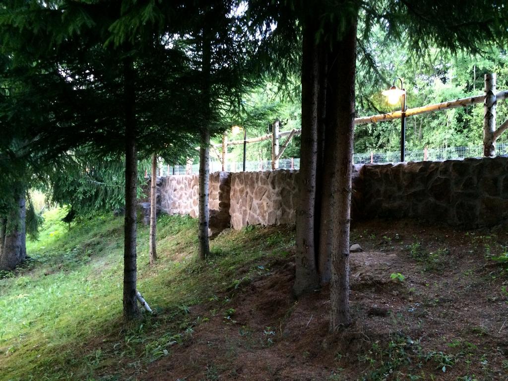 Casa Laur Cu Plaja Privata Hotel Colibita Exterior photo